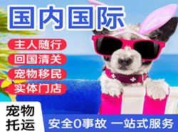 义乌机场快递国际宠物托运 【国